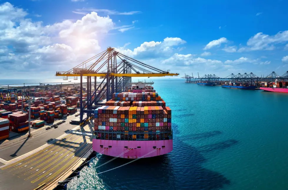 containers de exportação